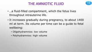 15
THE AMNIOTIC FLUID
• …a fluid-filled compartment, which the fetus lives
throughout intrauterine life.
• It increases gradually during pregnancy, to about 1400
ml at term. Its volume per time can be a guide to fetal
wellbeing:
• Oligohydramnios: low volume
• Polyhydramnios: high volume
 