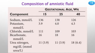 16
Composition of amniotic fluid
 