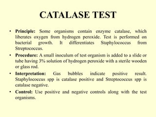 catalase test- principle, procedure, types, results,... Morphological and Selective Biochemical characterization of some ...