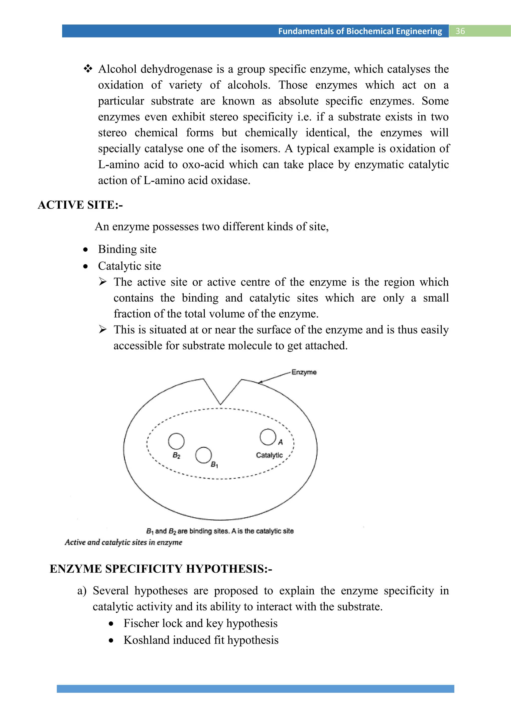 36Fundamentals of Biochemical Engineering
 Alcohol dehydrogenase is a group specific enzyme, which catalyses the
oxidation of variety of alcohols. Those enzymes which act on a
particular substrate are known as absolute specific enzymes. Some
enzymes even exhibit stereo specificity i.e. if a substrate exists in two
stereo chemical forms but chemically identical, the enzymes will
specially catalyse one of the isomers. A typical example is oxidation of
L-amino acid to oxo-acid which can take place by enzymatic catalytic
action of L-amino acid oxidase.
ACTIVE SITE:-
An enzyme possesses two different kinds of site,
 Binding site
 Catalytic site
 The active site or active centre of the enzyme is the region which
contains the binding and catalytic sites which are only a small
fraction of the total volume of the enzyme.
 This is situated at or near the surface of the enzyme and is thus easily
accessible for substrate molecule to get attached.
ENZYME SPECIFICITY HYPOTHESIS:-
a) Several hypotheses are proposed to explain the enzyme specificity in
catalytic activity and its ability to interact with the substrate.
 Fischer lock and key hypothesis
 Koshland induced fit hypothesis
 