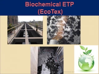 Presentation on Biochemical ETP 1
 