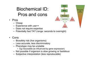 biochemical_identifcation_of_bacteria_slides.pdf
