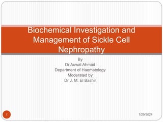 By
Dr Auwal Ahmad
Department of Haematology
Moderated by
Dr J. M. El Bashir
1/29/2024
Biochemical Investigation and
Management of Sickle Cell
Nephropathy
1
 