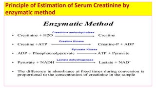Biochemical kidney function tests with their clinical applications
