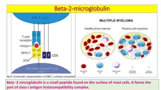 Biochemical kidney function tests with their clinical applications