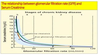 Biochemical kidney function tests with their clinical applications