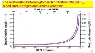 Biochemical kidney function tests with their clinical applications