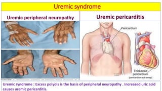 Biochemical kidney function tests with their clinical applications