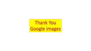 Biochemical kidney function tests with their clinical applications