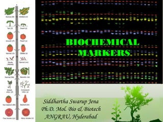 BBIIOOCCHHEEMMIICCAALL 
MMAARRKKEERRSS 
Siddhartha Swarup Jena 
Ph.D. Mol. Bio & Biotech 
ANGRAU, Hyderabad 
 