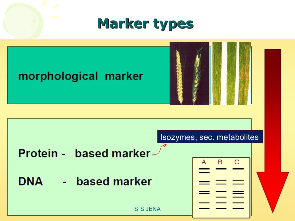 Biochemical marker sid