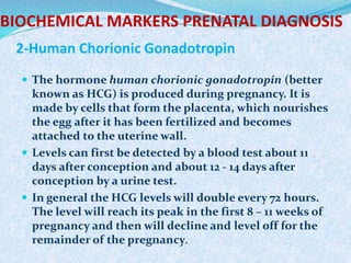 BIOCHEMICAL MARKERS PRENATAL DIAGNOSIS
2-Human Chorionic Gonadotropin
 The hormone human chorionic gonadotropin (better
known as HCG) is produced during pregnancy. It is
made by cells that form the placenta, which nourishes
the egg after it has been fertilized and becomes
attached to the uterine wall.
 Levels can first be detected by a blood test about 11
days after conception and about 12 - 14 days after
conception by a urine test.
 In general the HCG levels will double every 72 hours.
The level will reach its peak in the first 8 – 11 weeks of
pregnancy and then will decline and level off for the
remainder of the pregnancy.
 