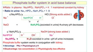Ppo2 Acid Base Balance Biochemical mechanismsof acid base balance and acid base disorders | PDF