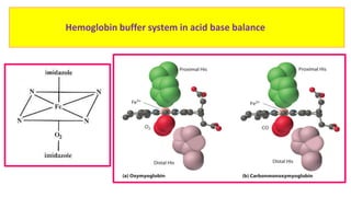Biochemical mechanismsof acid base balance and acid base disorders | PDF