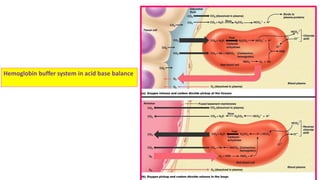 Biochemical mechanismsof acid base balance and acid base disorders | PDF