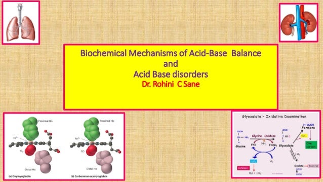 Biochemical Mechanismsof Acid Base Balance And Acid Base Disorders