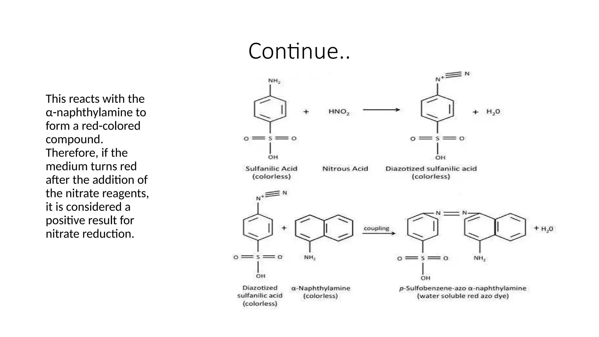 Continue..
This reacts with the
α-naphthylamine to
form a red-colored
compound.
Therefore, if the
medium turns red
after the addition of
the nitrate reagents,
it is considered a
positive result for
nitrate reduction.
 