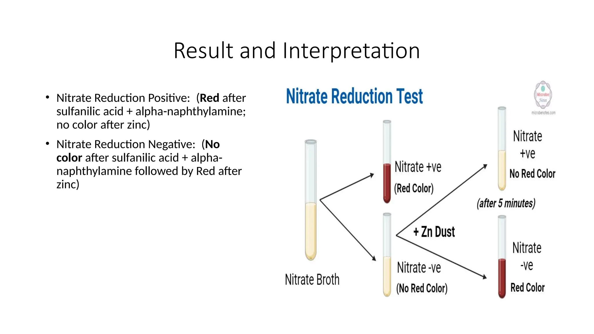 Result and Interpretation
• Nitrate Reduction Positive: (Red after
sulfanilic acid + alpha-naphthylamine;
no color after zinc)
• Nitrate Reduction Negative: (No
color after sulfanilic acid + alpha-
naphthylamine followed by Red after
zinc)
 