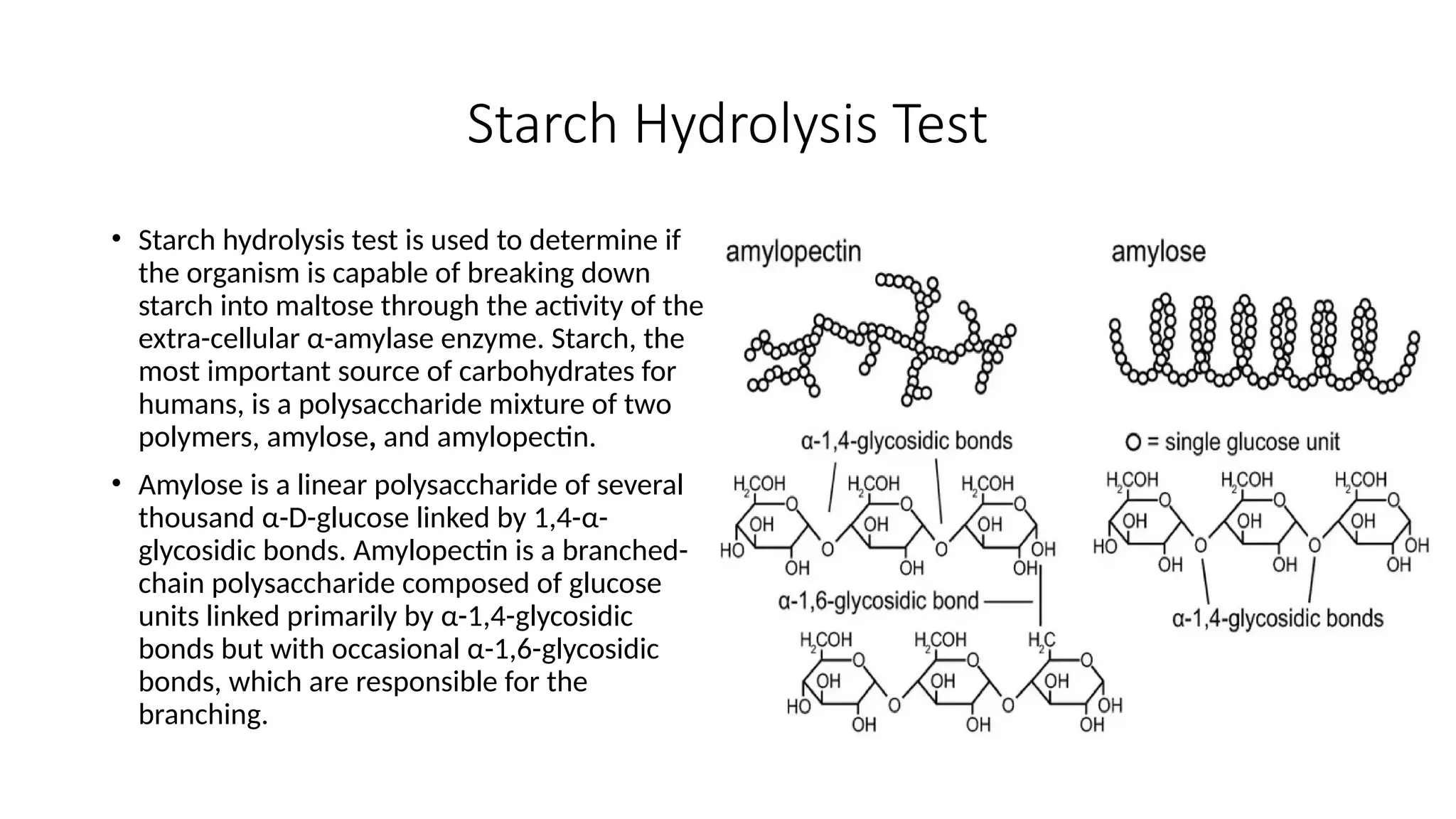 Starch Hydrolysis Test
• Starch hydrolysis test is used to determine if
the organism is capable of breaking down
starch into maltose through the activity of the
extra-cellular α-amylase enzyme. Starch, the
most important source of carbohydrates for
humans, is a polysaccharide mixture of two
polymers, amylose, and amylopectin.
• Amylose is a linear polysaccharide of several
thousand α-D-glucose linked by 1,4-α-
glycosidic bonds. Amylopectin is a branched-
chain polysaccharide composed of glucose
units linked primarily by α-1,4-glycosidic
bonds but with occasional α-1,6-glycosidic
bonds, which are responsible for the
branching.
 