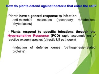 Induced Biochemical Defenses in Plants: Hypersensitive Response and ...