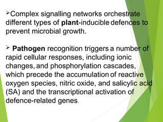 Induced Biochemical Defenses in Plants: Hypersensitive Response and ...