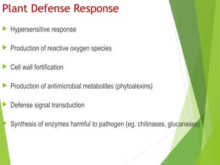Induced Biochemical Defenses in Plants: Hypersensitive Response and ...