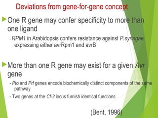 Deviations from gene-for-gene concept
One R gene may confer specificity to more than
one ligand
- RPM1 in Arabidopsis confers resistance against P.syringae
expressing either avrRpm1 and avrB
More than one R gene may exist for a given Avr
gene
- Pto and Prf genes encode biochemically distinct components of the same
pathway
- Two genes at the Cf-2 locus furnish identical functions
(Bent, 1996)
 