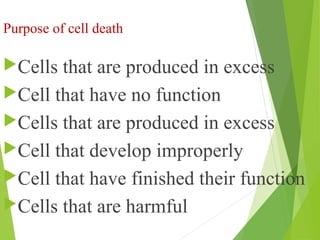 Purpose of cell death
Cells that are produced in excess
Cell that have no function
Cells that are produced in excess
Cell that develop improperly
Cell that have finished their function
Cells that are harmful
 