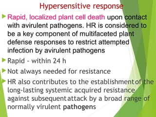 Hypersensitive response
Rapid, localized plant cell death upon contact
with avirulent pathogens. HR is considered to
be a key component of multifaceted plant
defense responses to restrict attempted
infection by avirulent pathogens
Rapid - within 24 h
Not always needed for resistance
HR also contributes to the establishmentof the
long-lasting systemic acquired resistance
against subsequentattack by a broad range of
normally virulent pathogens
 