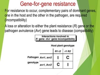 Gene-for-gene resistance
 For resistance to occur, complementary pairs of dominant genes,
one in the host and the other in the pathogen, are required
(incompatibility)
 A loss or alteration to either the plant resistance (R) gene or the
pathogen avirulence (Avr) gene leads to disease (compatibility)
 