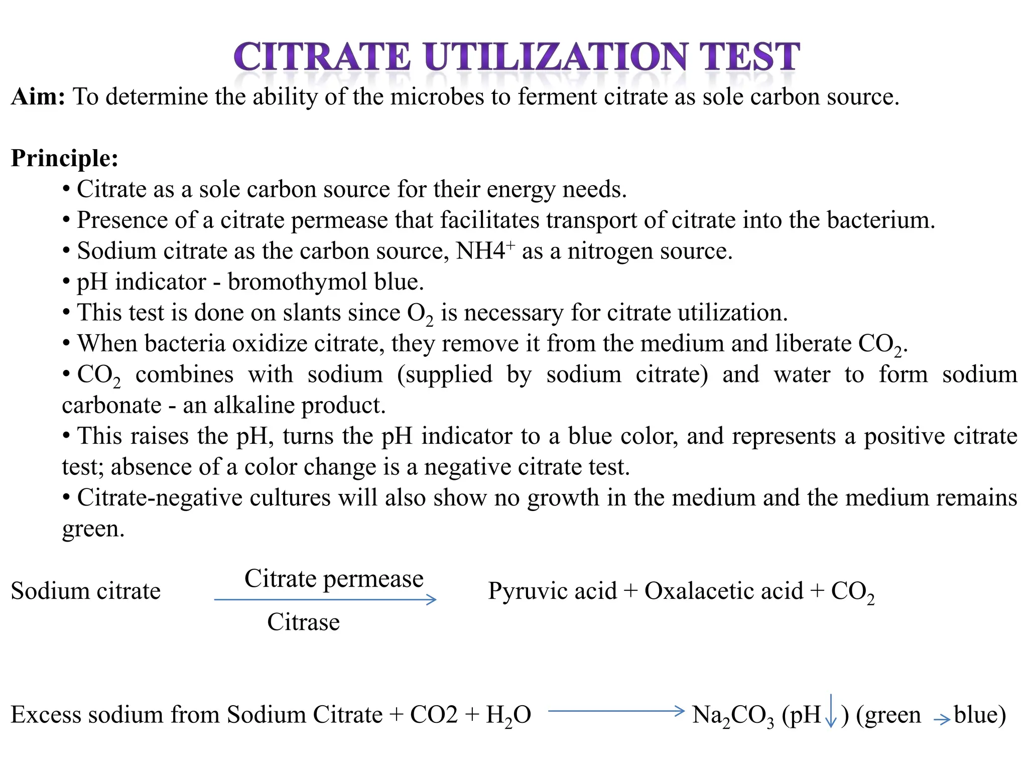 Aim: To determine the ability of the microbes to ferment citrate as sole carbon source.
Principle:
• Citrate as a sole carbon source for their energy needs.
• Presence of a citrate permease that facilitates transport of citrate into the bacterium.
• Sodium citrate as the carbon source, NH4+ as a nitrogen source.
• pH indicator - bromothymol blue.
• This test is done on slants since O2 is necessary for citrate utilization.
• When bacteria oxidize citrate, they remove it from the medium and liberate CO2.
• CO2 combines with sodium (supplied by sodium citrate) and water to form sodium
carbonate - an alkaline product.
• This raises the pH, turns the pH indicator to a blue color, and represents a positive citrate
test; absence of a color change is a negative citrate test.
• Citrate-negative cultures will also show no growth in the medium and the medium remains
green.
Sodium citrate Citrate permease Pyruvic acid + Oxalacetic acid + CO2
Citrase
Excess sodium from Sodium Citrate + CO2 + H2O Na2CO3 (pH ) (green blue)
 