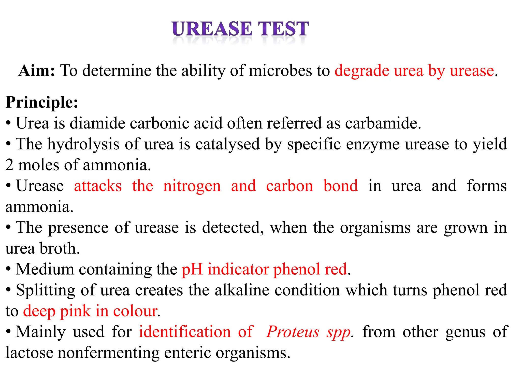 Aim: To determine the ability of microbes to degrade urea by urease.
Principle:
• Urea is diamide carbonic acid often referred as carbamide.
• The hydrolysis of urea is catalysed by specific enzyme urease to yield
2 moles of ammonia.
• Urease attacks the nitrogen and carbon bond in urea and forms
ammonia.
• The presence of urease is detected, when the organisms are grown in
urea broth.
• Medium containing the pH indicator phenol red.
• Splitting of urea creates the alkaline condition which turns phenol red
to deep pink in colour.
• Mainly used for identification of Proteus spp. from other genus of
lactose nonfermenting enteric organisms.
 