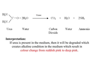 Biochemical Principles, Biochemical tests.pdf