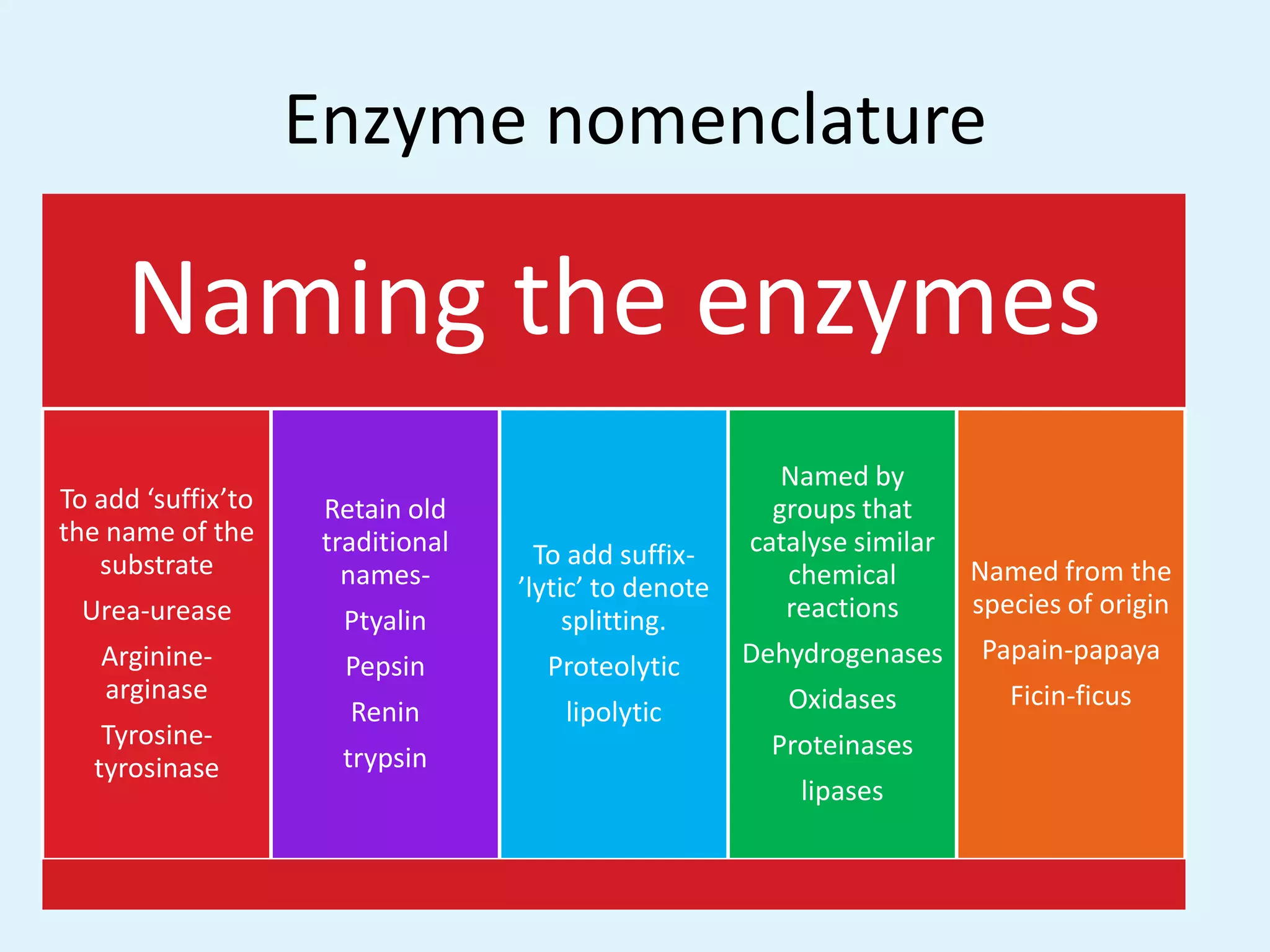 Biochemical principles of enzyme action