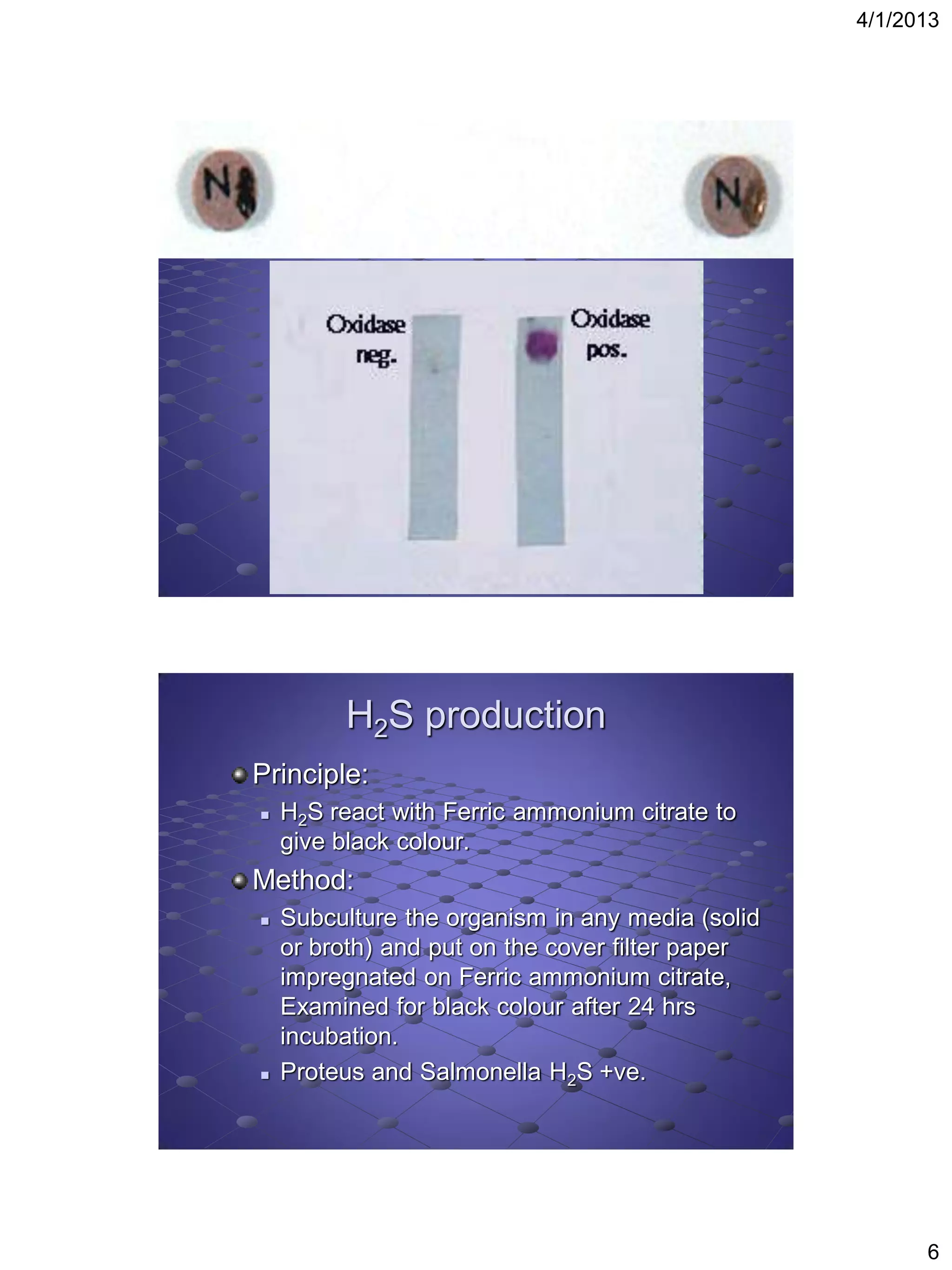 4/1/2013




         H2S production
Principle:
   H2S react with Ferric ammonium citrate to
    give black colour.
Method:
   Subculture the organism in any media (solid
    or broth) and put on the cover filter paper
    impregnated on Ferric ammonium citrate,
    Examined for black colour after 24 hrs
    incubation.
   Proteus and Salmonella H2S +ve.




                                                        6
 