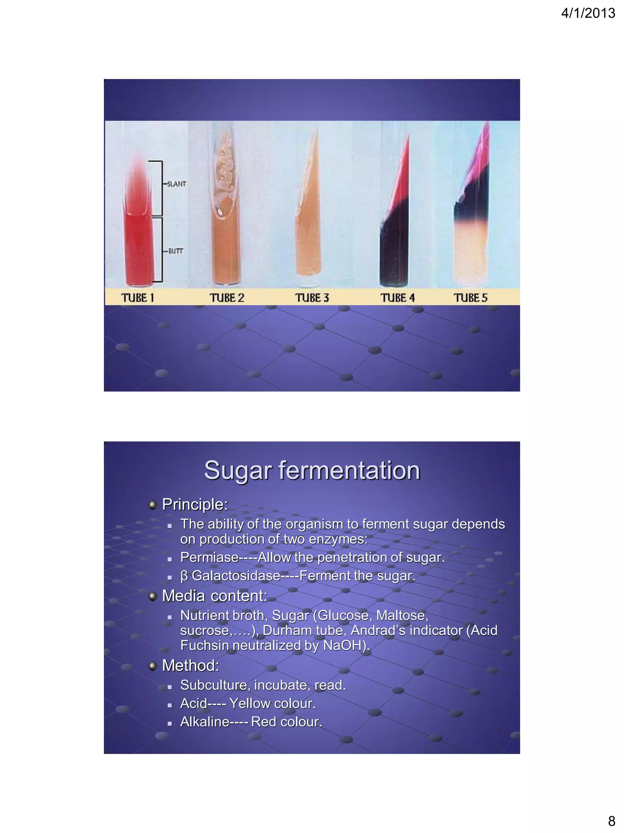 4/1/2013




       Sugar fermentation
Principle:
   The ability of the organism to ferment sugar depends
    on production of two enzymes:
   Permiase----Allow the penetration of sugar.
   β Galactosidase----Ferment the sugar.
Media content:
   Nutrient broth, Sugar (Glucose, Maltose,
    sucrose,….), Durham tube, Andrad’s indicator (Acid
    Fuchsin neutralized by NaOH).
Method:
   Subculture, incubate, read.
   Acid---- Yellow colour.
   Alkaline---- Red colour.




                                                                 8
 