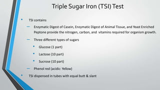 Triple Sugar Iron (TSI)Test
• TSI contains
– Enzymatic Digest of Casein, Enzymatic Digest of Animal Tissue, and Yeast Enriched
Peptone provide the nitrogen, carbon, and vitamins required for organism growth.
– Three different types of sugars
• Glucose (1 part)
• Lactose (10 part)
• Sucrose (10 part)
– Phenol red (acidic: Yellow)
• TSI dispensed in tubes with equal butt & slant
 