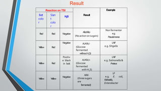 Biochemical reaction | PPTX | Chemistry | Science