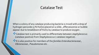CatalaseTest
When a colony of any catalase producing bacteria is mixed with a drop of
hydrogen peroxide (3 % H2O2) placed on a slide , effervescence or bubble
appear due to breakdown of H2O2 by catalase to produce oxygen .
Catalase test is primarily used to differentiate between staphylococcus
(catalase positive) from Staphylococcus ( catalase negative) .
It is also positive for members of the families Enterobacteriaceae ,
Vibrionaceae , Pseudomonas etc .
 