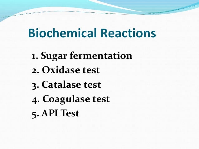Microbiology Biochemical Reactions Chart