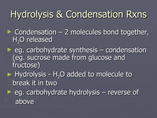 Hydrolysis & Condensation Rxns Condensation – 2 molecules bond together, H 2 O released eg. carbohydrate synthesis – condensation (eg. sucrose made from glucose and fructose) Hydrolysis - H 2 O added to molecule to break it in two eg. carbohydrate hydrolysis – reverse of  above 