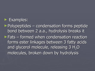 Examples: Polypeptides – condensation forms peptide bond between 2 a.a., hydrolysis breaks it Fats – formed when condensation reaction forms ester linkages between 3 fatty acids and glycerol molecule, releasing 3 H 2 O molecules, broken down by hydrolysis 