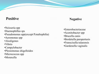Positive
•Neisseria spp
•Haemophillus sps
•Pseudomonas spp(except P.maltophilia)
•Aeromonas spp
•Alcaligenes
•Vibrio
•Campylobacter
•Plesiomonas shigelloides
•Micrococcus spp
•Moraxella

Negative
•Enterobacteriaceae
•Acenitobacter spp
•Brucella canis
•Bordetella parapertusis
•Franscisella tularensis
•Gardenella vaginalis

 