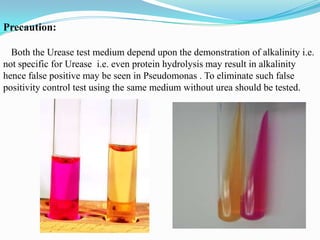 Precaution:
Both the Urease test medium depend upon the demonstration of alkalinity i.e.
not specific for Urease i.e. even protein hydrolysis may result in alkalinity
hence false positive may be seen in Pseudomonas . To eliminate such false
positivity control test using the same medium without urea should be tested.

 