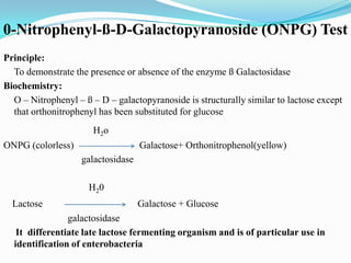 0-Nitrophenyl-ß-D-Galactopyranoside (ONPG) Test
Principle:
To demonstrate the presence or absence of the enzyme ß Galactosidase
Biochemistry:
O – Nitrophenyl – ß – D – galactopyranoside is structurally similar to lactose except
that orthonitrophenyl has been substituted for glucose
H2o
ONPG (colorless)

Galactose+ Orthonitrophenol(yellow)
galactosidase
H20

Lactose

Galactose + Glucose

galactosidase
It differentiate late lactose fermenting organism and is of particular use in
identification of enterobacteria

 