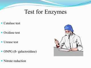 Test for Enzymes
 Catalase test
 Oxidase test
 Urease test
 ONPG (ß- galactosidase)
 Nitrate reduction

 
