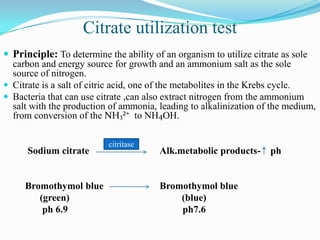 Citrate utilization test
 Principle: To determine the ability of an organism to utilize citrate as sole
carbon and energy source for growth and an ammonium salt as the sole
source of nitrogen.
 Citrate is a salt of citric acid, one of the metabolites in the Krebs cycle.
 Bacteria that can use citrate ,can also extract nitrogen from the ammonium
salt with the production of ammonia, leading to alkalinization of the medium,
from conversion of the NH3²⁺ to NH4OH.

Sodium citrate

Bromothymol blue
(green)
ph 6.9

citritase

Alk.metabolic products-

Bromothymol blue
(blue)
ph7.6

ph

 