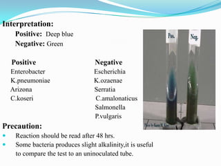 Interpretation:
Positive: Deep blue
Negative: Green
Positive

Negative

Enterobacter
K.pneumoniae
Arizona
C.koseri

Escherichia
K.ozaenae
Serratia
C.amalonaticus
Salmonella
P.vulgaris

Precaution:



Reaction should be read after 48 hrs.
Some bacteria produces slight alkalinity,it is useful
to compare the test to an uninoculated tube.

 