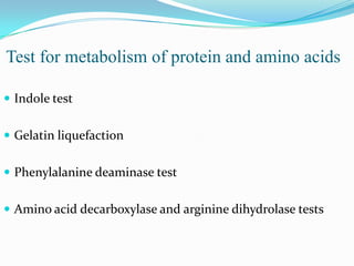 Test for metabolism of protein and amino acids
 Indole test
 Gelatin liquefaction
 Phenylalanine deaminase test

 Amino acid decarboxylase and arginine dihydrolase tests

 