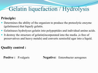 Gelatin liquefaction / Hydrolysis
Principle:
 Determines the ability of the organism to produce the proteolytic enzyme

(gelatinases) that liquefy gelatin.
 Gelatinases hydrolyses gelatin into polypeptides and individual amino acids.
 It destroy the structure of gelatin(incorporated into the media ,is free of
preservatives and heavy metals) and converts semisolid agar into a liquid.

Quality control :
Positve : P.vulgaris

Negative: Enterobacter aerogenes

 